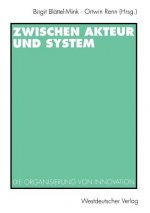 Zwischen Akteur Und System