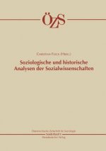 Soziologische Und Historische Analysen Der Sozialwissenschaften