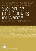 Steuerung Und Planung Im Wandel