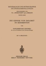 Die Genese von Dolomit in Sedimenten