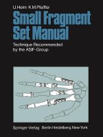 Small Fragment Set Manual