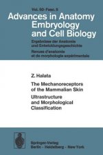 Mechanoreceptors of the Mammalian Skin Ultrastructure and Morphological Classification