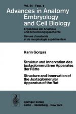 Struktur und Innervation des Juxtaglomerularen Apparates der Ratte / Structure and Innervation of the Juxtaglomerular Apparatus of the Rat