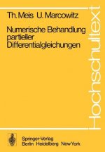 Numerische Behandlung Partieller Differentialgleichungen