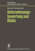 Unternehmungsbewertung und Risiko
