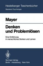 Denken und Problemlosen