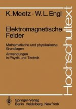 Elektromagnetische Felder