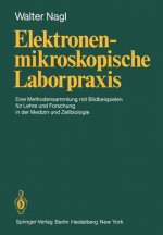 Elektronenmikroskopische Laborpraxis