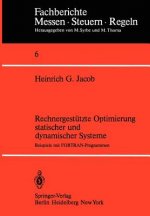Rechnergestützte Optimierung statischer und dynamischer Systeme