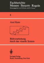 Bildverarbeitung Durch das Visuelle System