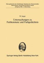 Untersuchungen zu Farbkonstanz und Farbgedächtnis