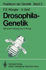 Drosophila-Genetik