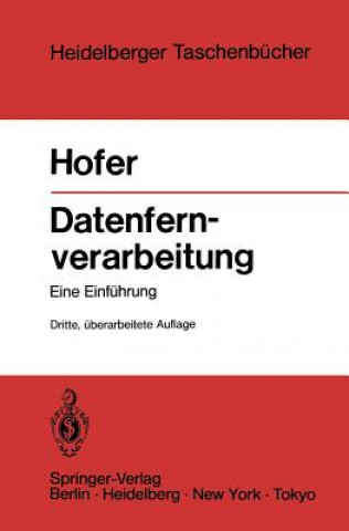 Datenfernverarbeitung