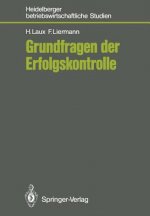 Grundfragen Der Erfolgskontrolle
