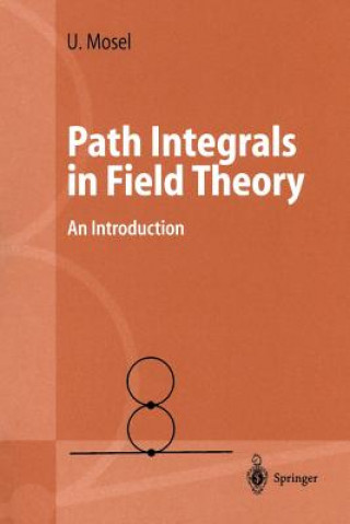 Path Integrals in Field Theory