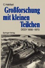 Grossforschung mit Kleinen Teilchen