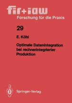 Optimale Datenintegration Bei Rechnerintegrierter Produktion