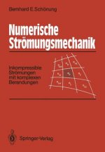 Numerische Strömungsmechanik