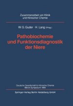 Pathobiochemie Und Funktionsdiagnostik Der Niere