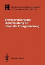 Energieversorgung- Dienstleistung fur Rationelle Energienutzung