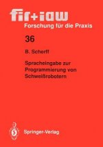 Spracheingabe zur Programmierung von Schweissrobotern