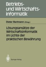 Losungsansatze der Wirtschaftsinformatik im Lichte der Praktischen Bewahrung