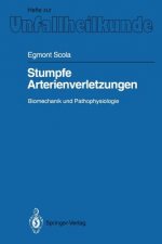 Stumpfe Arterienverletzungen