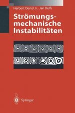 Strömungsmechanische Instabilitäten