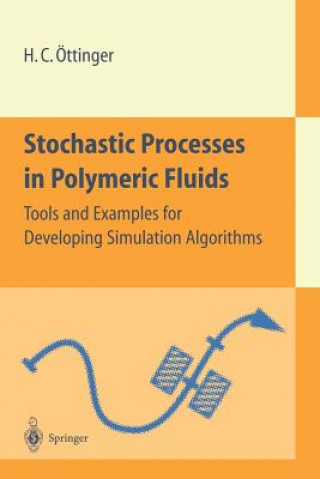 Stochastic Processes in Polymeric Fluids