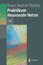 Praktikum Neuronale Netze, m. Diskette (3 1/2 Zoll)