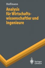 Analysis fur Wirtschaftswissenschaftler und Ingenieure
