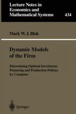 Dynamic Models of the Firm