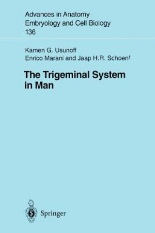 Trigeminal System in Man