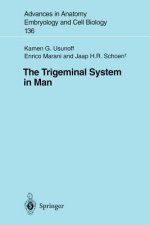 Trigeminal System in Man