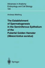 Establishment of Spermatogenesis in the Seminiferous Epithelium of the Pubertal Golden Hamster (Mesocricetus auratus)