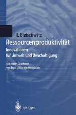 Ressourcenproduktivitat