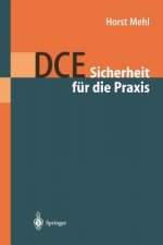 DCE: Sicherheit Fur Die Praxis