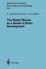 Reeler Mouse as a Model of Brain Development