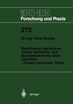 Berechnung charakteristischer Spritzbild- und Qualitätsmerkmale beim Lackieren