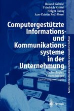 Computergestutzte Informations- Und Kommunikationssysteme in Der Unternehmung