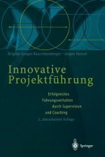 Innovative Projektfuhrung