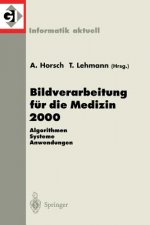 Bildverarbeitung Fur Die Medizin 2000