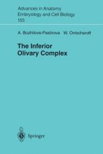 Inferior Oilvary Complex