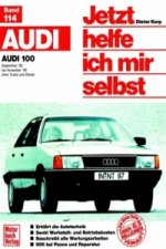 Audi 100