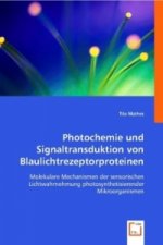 Photochemie und Signaltransduktion von Blaulichtrezeptorproteinen