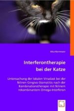 Interferontherapie bei der Katze