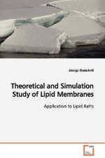 Theoretical and Simulation Study of Lipid Membranes Application to Lipid Rafts