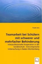 Teamarbeit bei Schülern mit schwerer und mehrfacher Behinderung