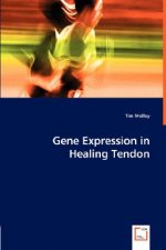 Gene Expression in Healing Tendon