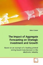 The Impact of Aggregate Forecasting on Strategic Investment and Growth
